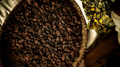 Kakaoanteil in der Schokolade: Wir räumen mit einem weit verbreiteten Irrtum auf